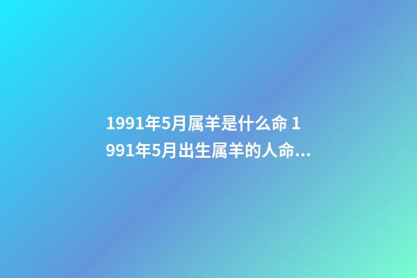 1991年5月属羊是什么命 1991年5月出生属羊的人命运好坏-第1张-观点-玄机派